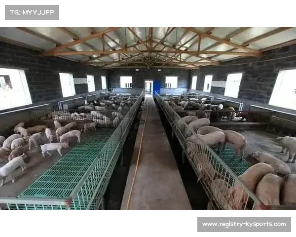 高温高湿环境下公开水域运动员电解质补给方案的创新与实践探索